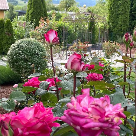 Bed And Breakfast Mittelkaernten Althofen  Buitenkant foto